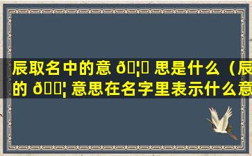 辰取名中的意 🦉 思是什么（辰的 🐦 意思在名字里表示什么意思）